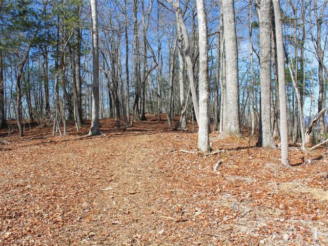 Land for sale in Hendersonville, North Carolina