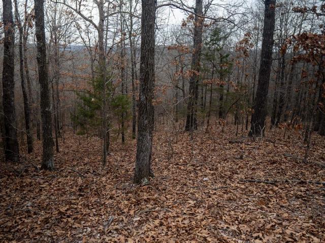 Land for sale in Ark