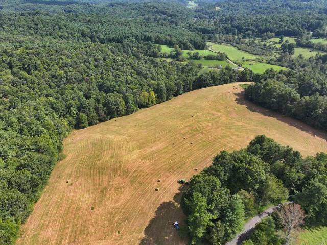 Land for sale in Willis Wharf, Floyd County