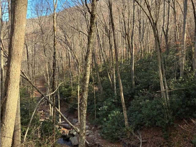 Land for sale in Yancey, North Carolina