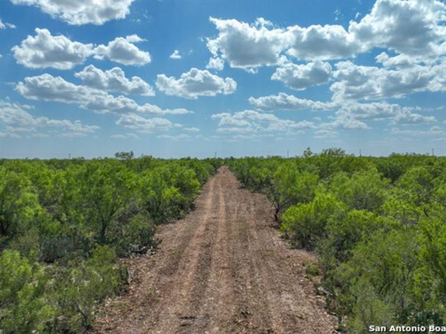 Commercial Land for sale in Fowlerton