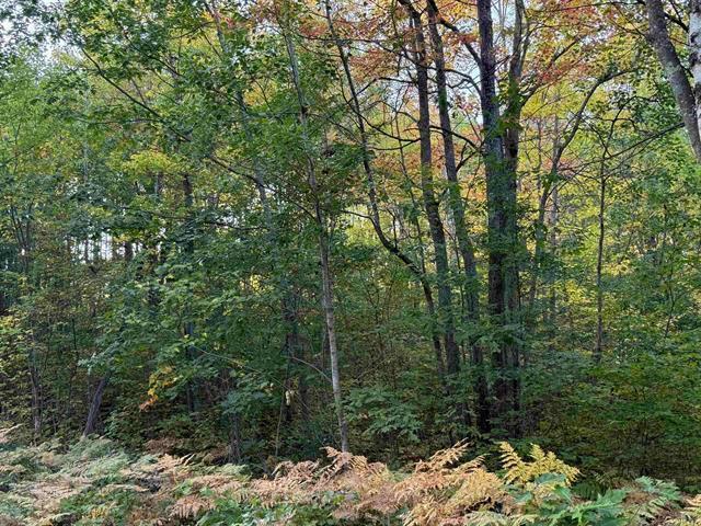 Land for sale in Iron River, Wisconsin