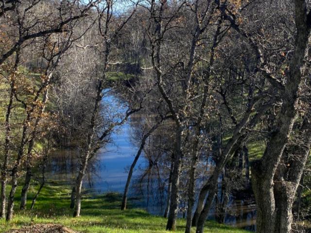 Land for sale in Red Bluff, Tehama County