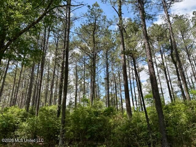 Land for sale in Tylertown, Mississippi