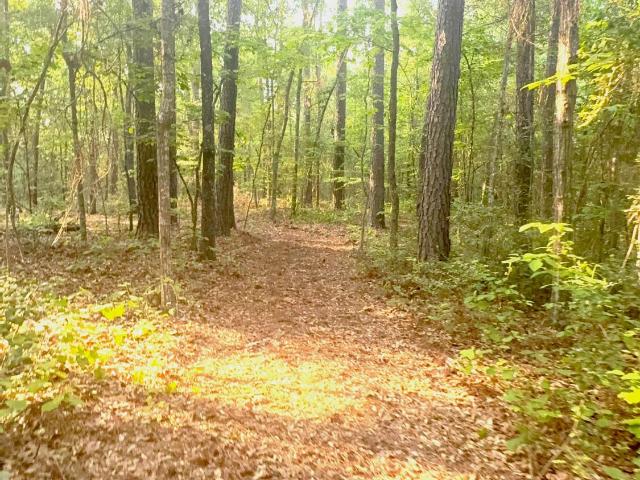 Land for sale in Aiken, South Carolina