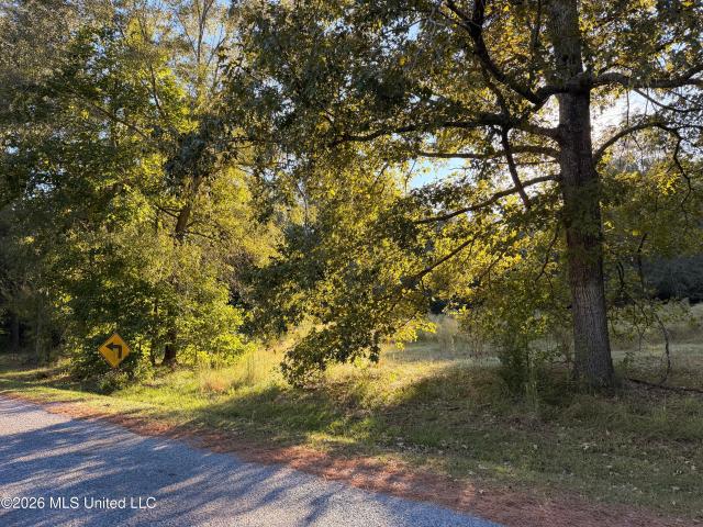 Land for sale in Summit, Pike County