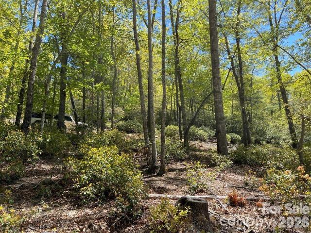 Land for sale in Spruce Pine, North Carolina