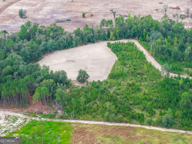 Land for sale in McTier, Baxley