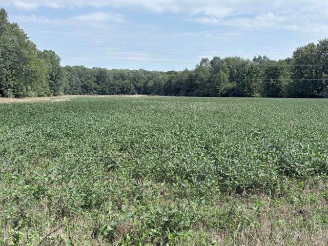 Land for sale in Michigan