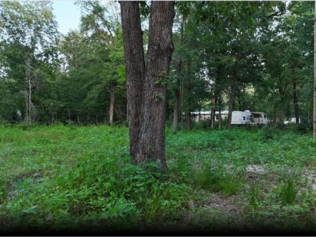 Land for sale in Polk, Texas