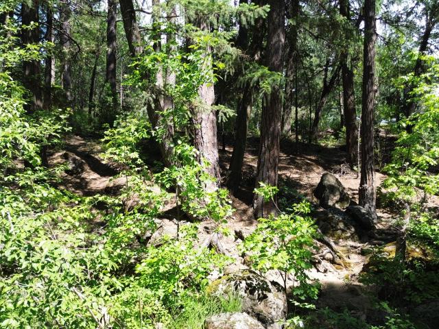 Land for sale in Burney, Shasta County