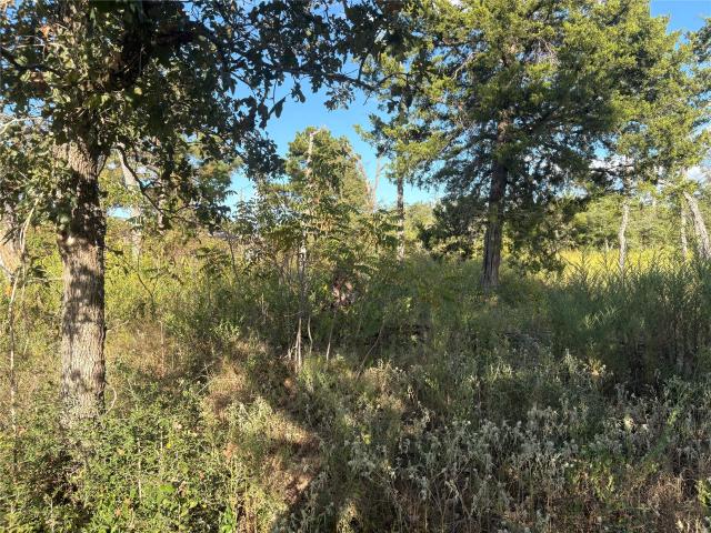 Land for sale in Hempstead, Texas
