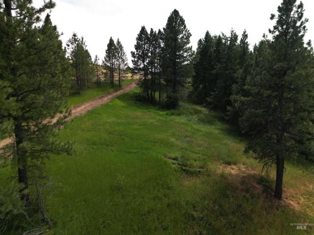 Property for sale in Moscow, Idaho