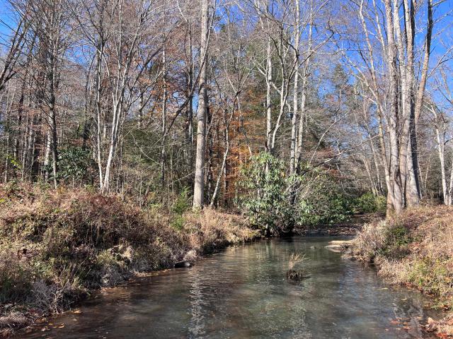 Land for sale in Pineville, Kentucky
