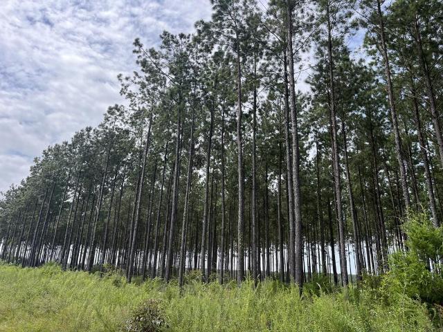 Land for sale in Columbia, Alabama
