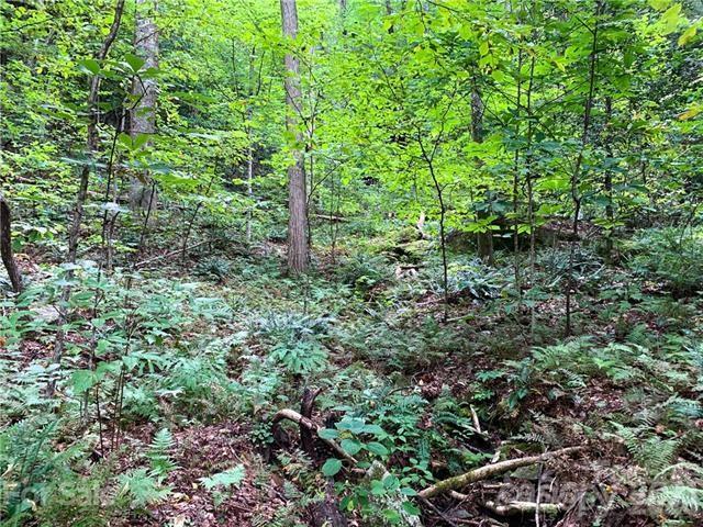 Land for sale in Round Mountain, Rosman