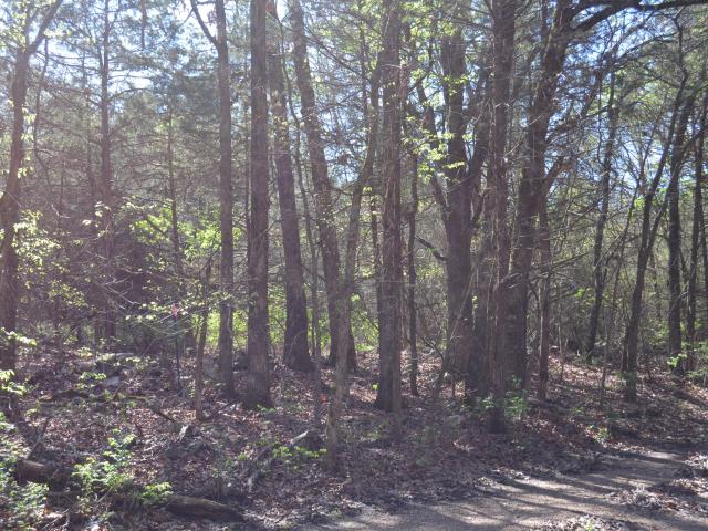 Land for sale in Stone, Missouri