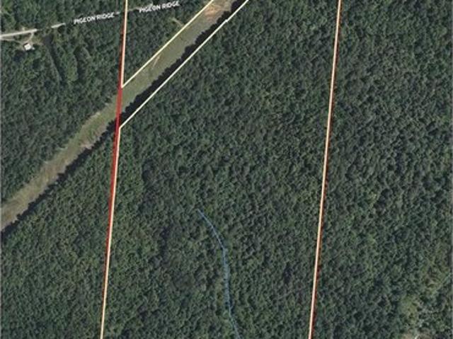 Land for sale in Beaver Dam, Kentucky