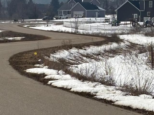 Land for sale in Isabella, Michigan