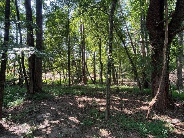 Land for sale in Tryon, North Carolina