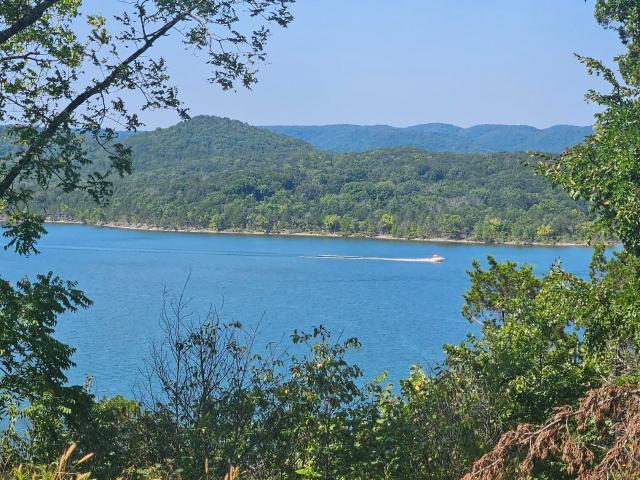 Land for sale in Stone, Missouri