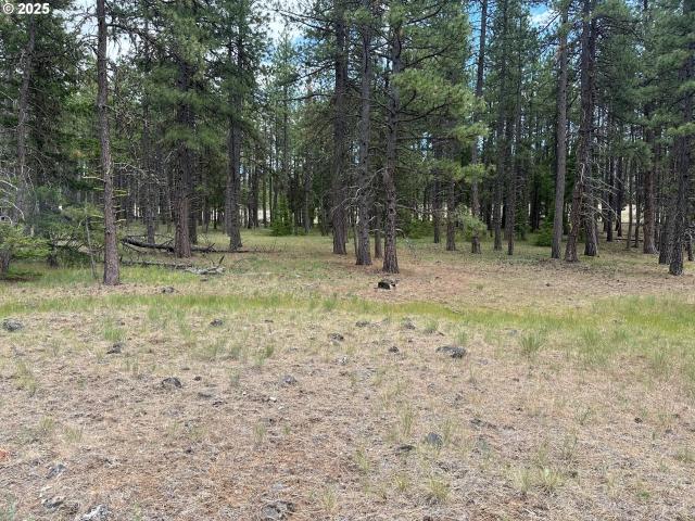 Land for sale in Goldendale, Washington
