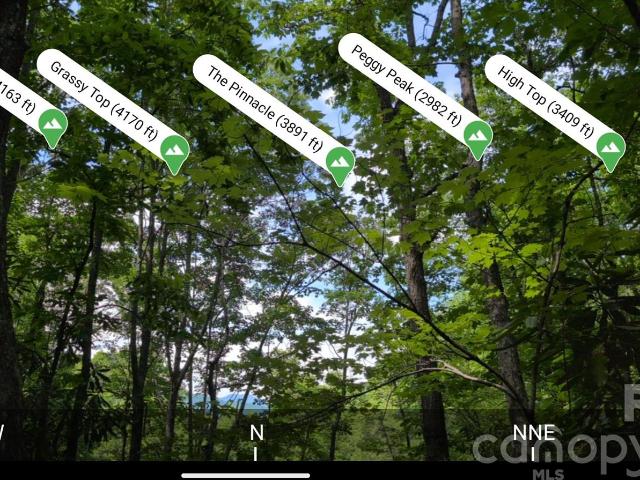 Land for sale in Candler, North Carolina