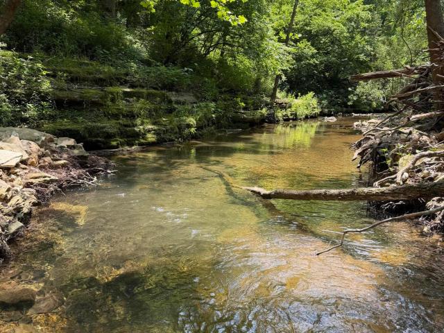 Land for sale in Mountain Grove, Missouri