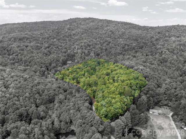 Land for sale in Spruce Pine, North Carolina