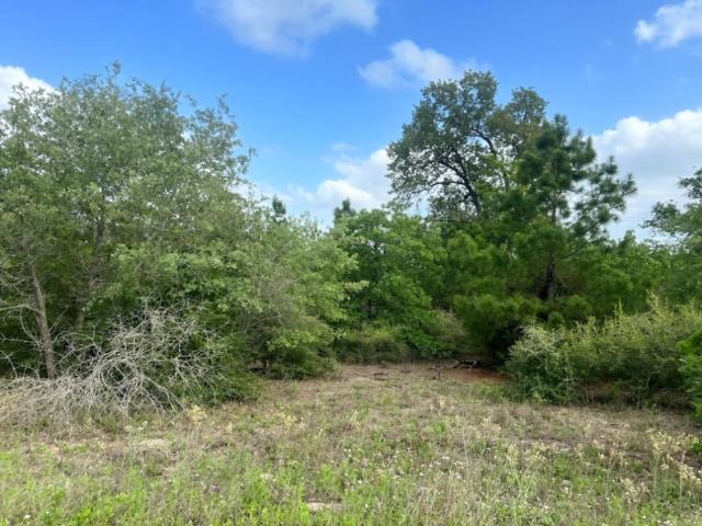 Land for sale in Paige, Texas
