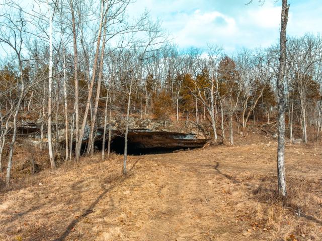 Land for sale in Phelps, Missouri