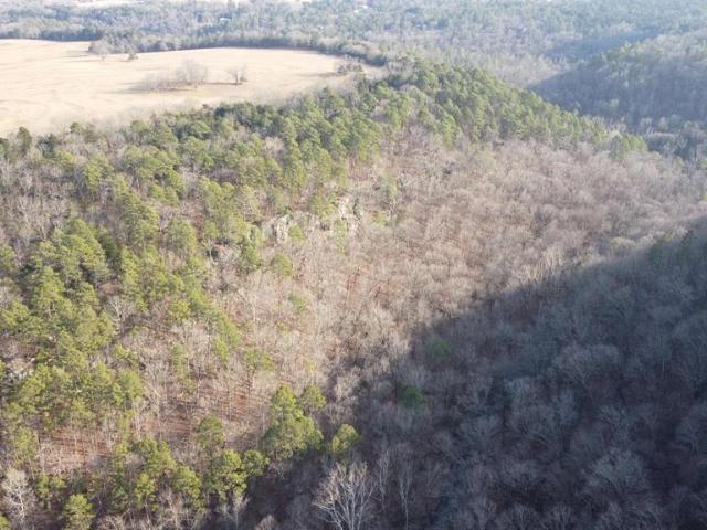 Land for sale in Ark