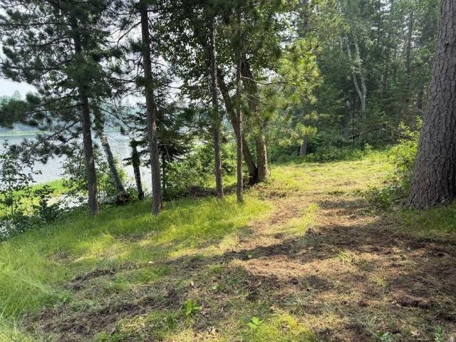 Land for sale in Beltrami, Minnesota