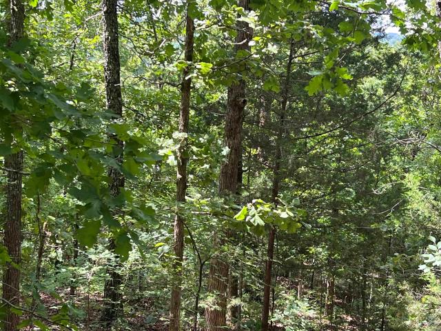 Land for sale in Ark