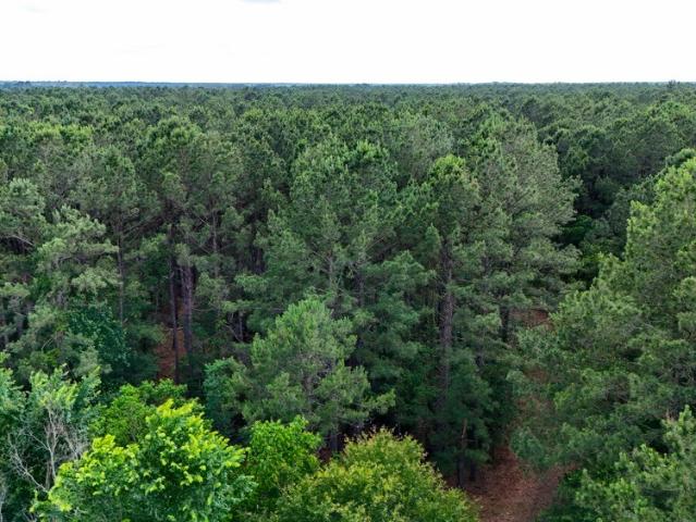 Land for sale in Jasper, Texas