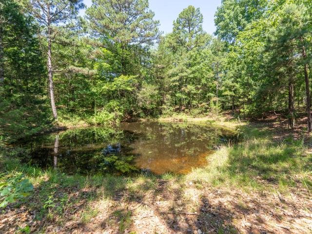 Land for sale in Howell, Missouri