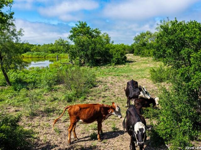Farm for sale in Medina, Texas