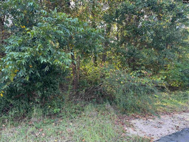 Land for sale in Ridge Spring, South Carolina