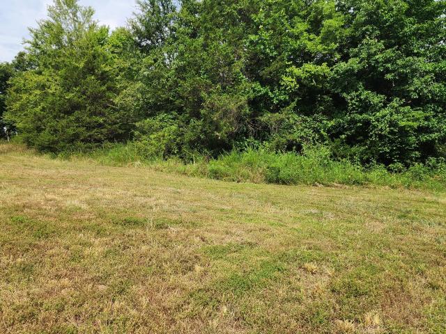 Land for sale in Theodosia, Missouri