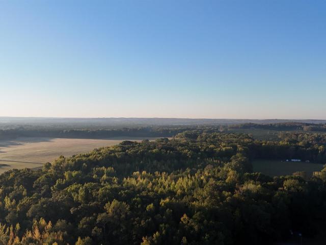 Land for sale in Pangburn, White County