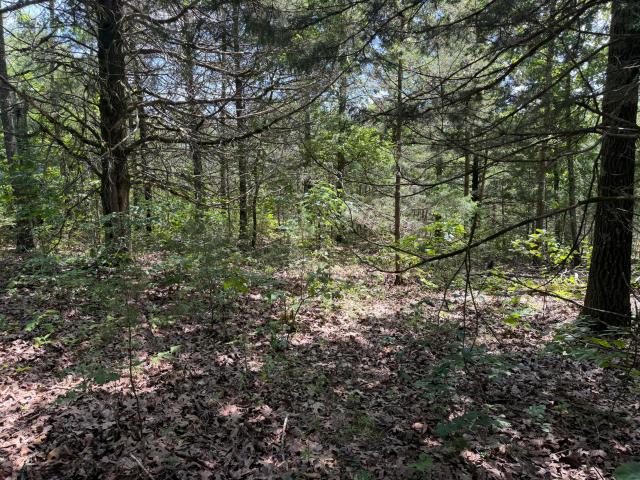 Land for sale in Willow Springs, Missouri
