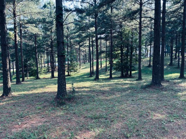 Land for sale in Tennessee