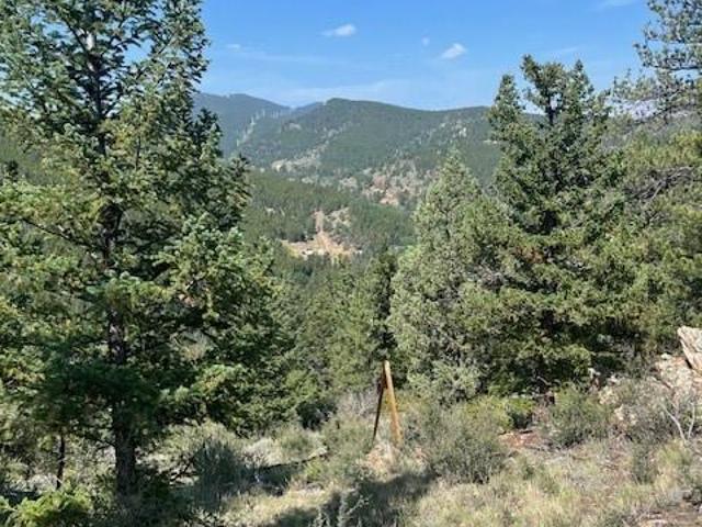 Land for sale in Clear Creek, Colorado