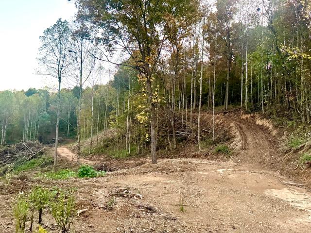 Land for sale in East Bernstadt, Laurel County