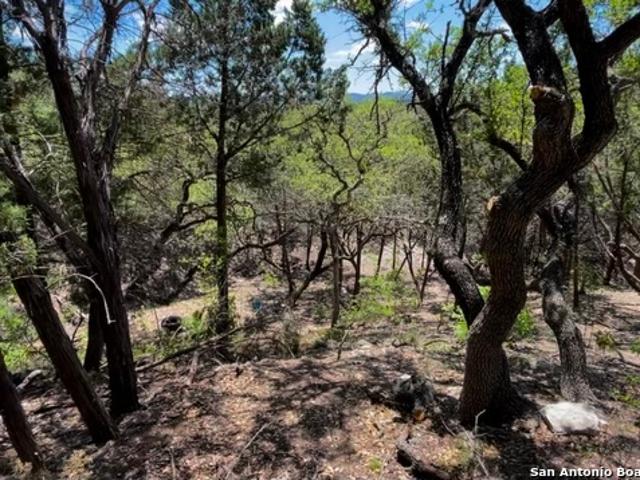Land for sale in Pipe Creek, Texas