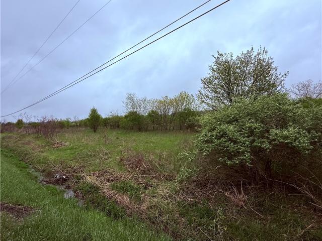 Land for sale in Dansville, New York