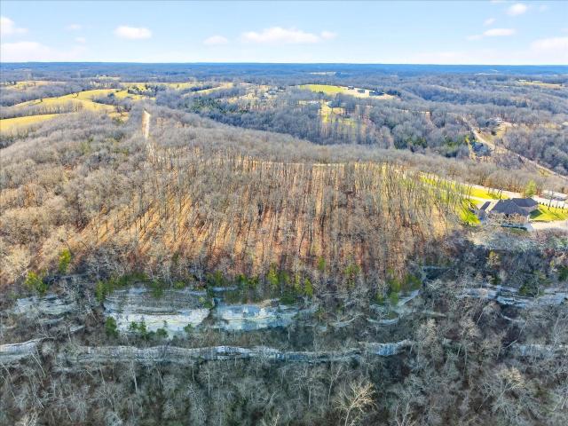 Land for sale in Stone, Missouri