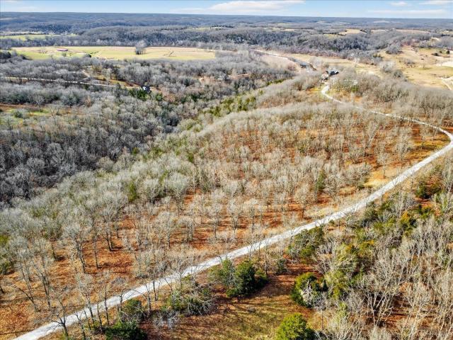 Land for sale in Galena, Stone County