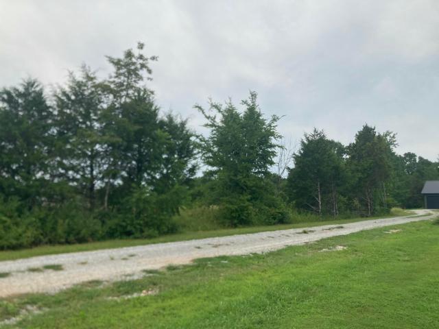 Land for sale in Theodosia, Missouri
