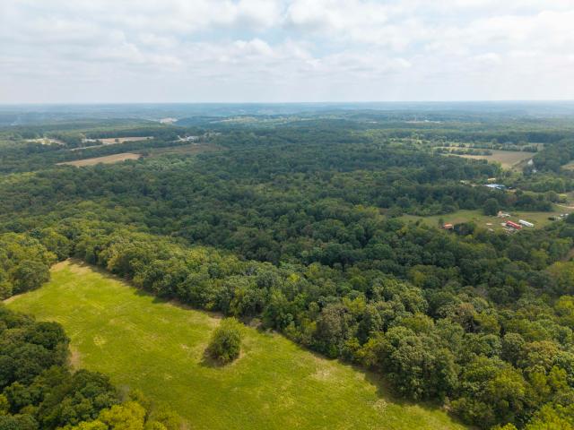 Land for sale in Stone, Missouri